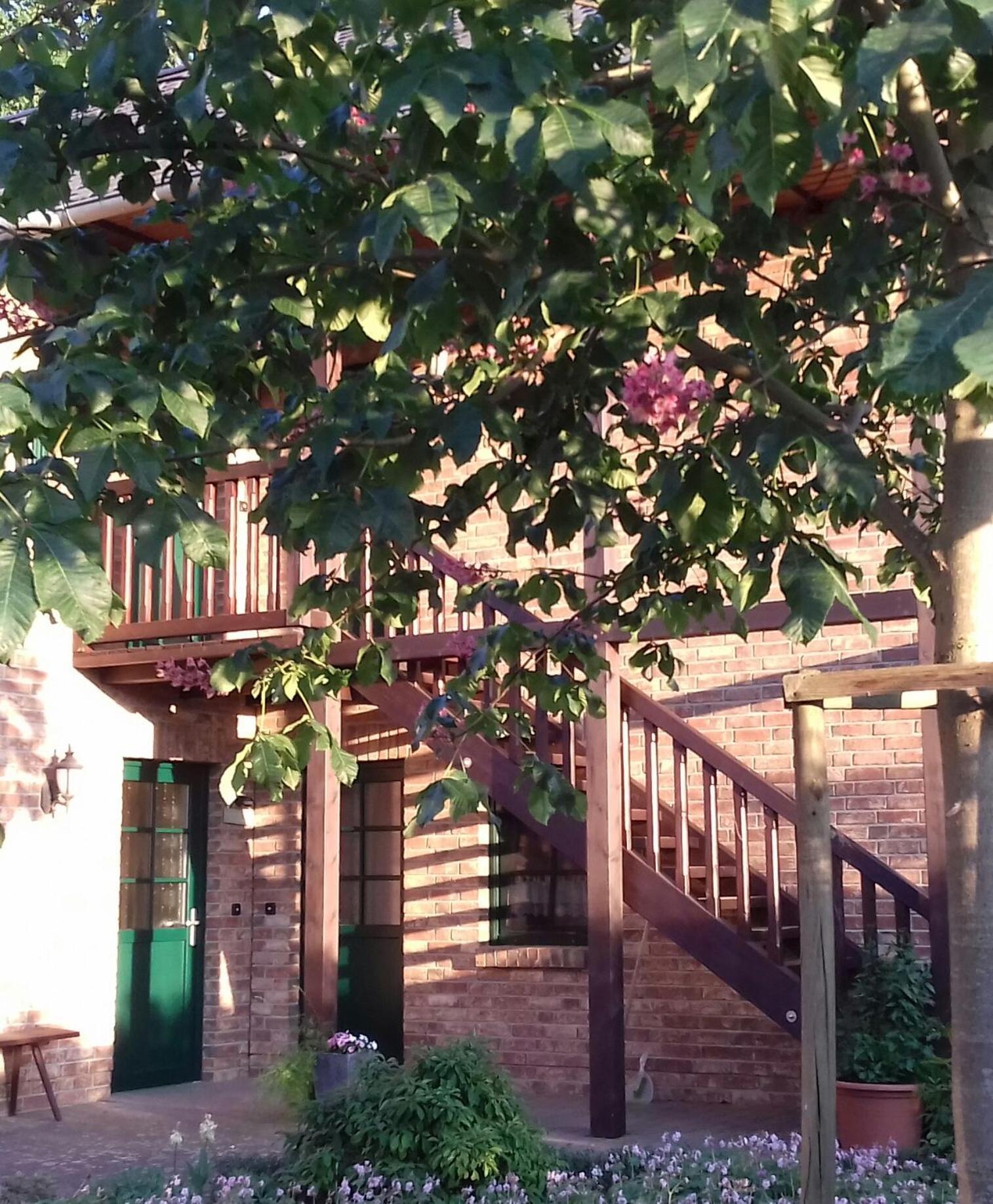Kastanienhof Apartman Burg  Kültér fotó